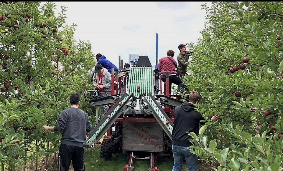 En 2017 se presentaron a nuestros fundadores Jack McCarthy y Brandon Rebiero. Uno de ellos es agricultor y agrónomo capacitado. El otro es un ex inversor de capital privado que se convirtió en entusiasta de Standford GSB Ag.